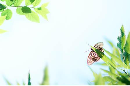 菱角怎么快速剥壳