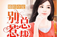 婚前夺爱：总裁别惹我小说全文
