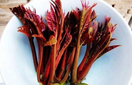 女性多吃这4种食物，可以预防妇科疾病