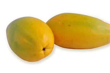 木瓜苦是怎么回事 木瓜牛奶苦的原因