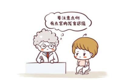 孕肚越大说明胎儿发育的越好？看完这篇，你就知道了