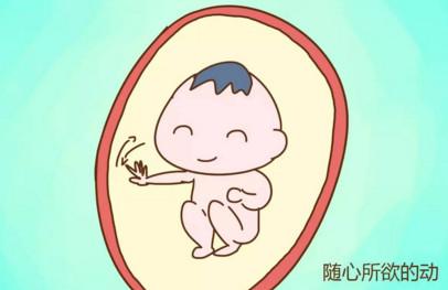 怀孕时胎宝宝都在妈妈肚子里干些什么？