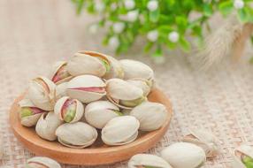 椰浆可以做什么甜品 清甜不腻口