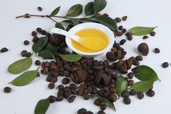 宝宝屁股红可以擦茶油吗 茶油治宝宝红屁屁有道理吗