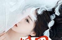 情网小说全文