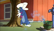 蓝猫