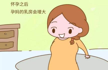 孕期变大的不止孕妈的孕肚，还有这些部位也在变大