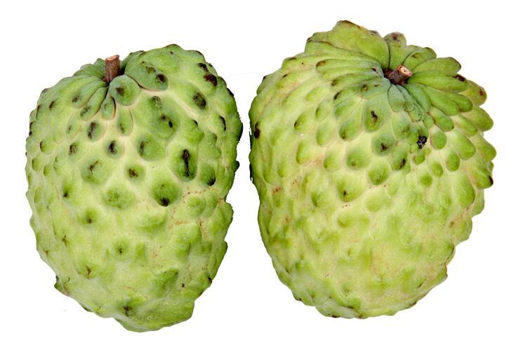 宝宝可以吃释迦果吗 又名番荔枝的释迦小孩子可以吃吗