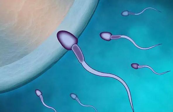 男性精子质量下降影响生育，如何自测精子质量？