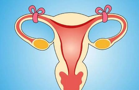 女人结扎后，能不能把输卵管接上重新怀孕？