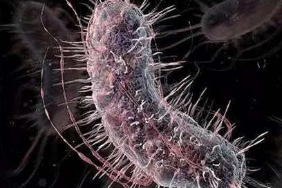 儿童上呼吸道感染用抗生素要遵循这三个原则