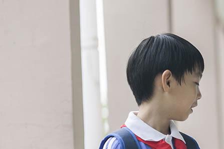 麦芽茶的功效与作用及禁忌