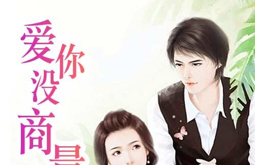 爱你没商量小说全文