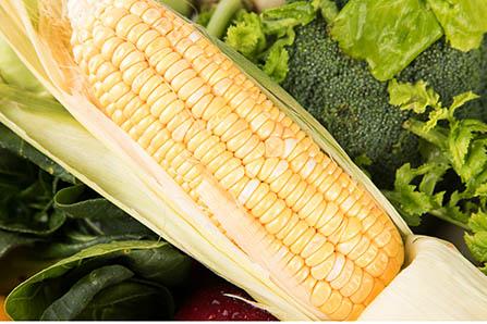 月饼为什么花纹不清晰 注意这四点包你做出漂亮的小月饼