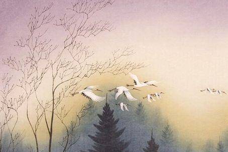 有关于白露节气的诗歌大全