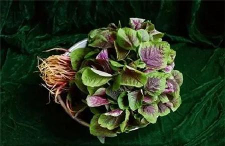 秋分吃什么传统食物 秋分必吃的6种食物