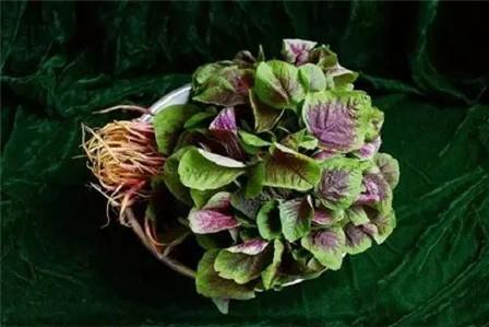 秋分吃什么传统食物 秋分必吃的6种食物