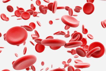 刘姓鸡宝宝两字名字大全