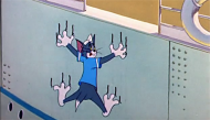 行船猫