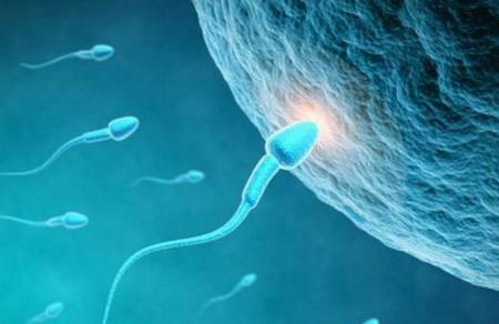 解答精子畸形率高的原因是什么？會影響備孕嗎？