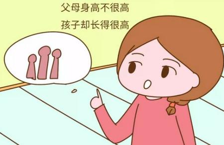 就算父母不高，但是这三种类型的孩子将来一定高