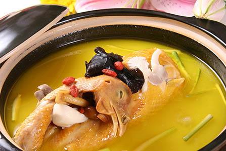 橘子可以和酸奶一起吃吗 会对胃不好吗