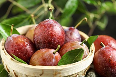 四十米大刀什么梗 打架还是长的好