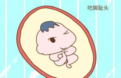 每个宝宝都是天生的表情帝，还在孕肚里就这么会卖萌，好可爱！