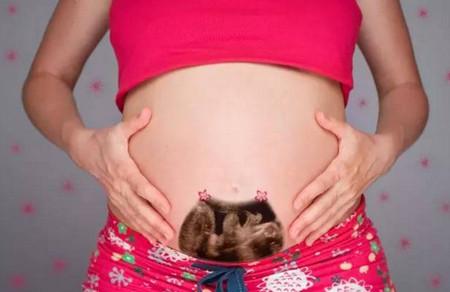 孕24周胎儿发育情况？孕期24周的宝宝你好吗？