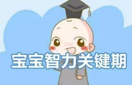 想要宝宝聪明，一定要把握好宝宝智力发展的五个关键期！