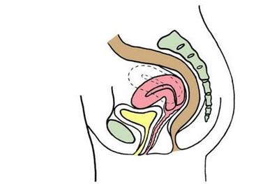 子宫前位容易怀男孩吗 子宫前位想生男孩就要这样做