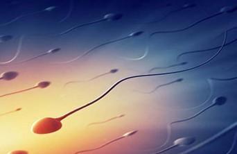 备孕过程中精子是如何半路牺牲的？男人如何保护自己的精子？