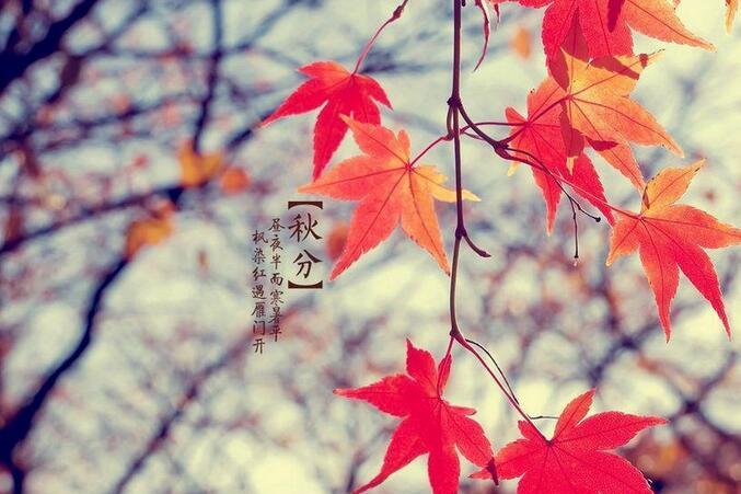 有关于描写秋分的诗句