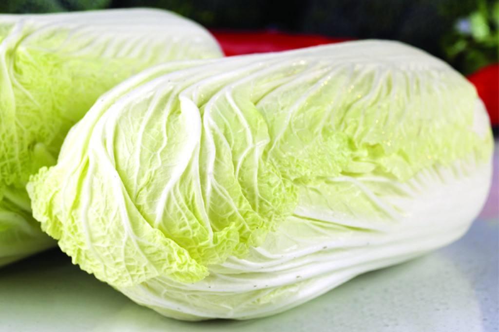 宝宝吃白菜的做法大全 百菜不如白菜，宝宝食谱推荐