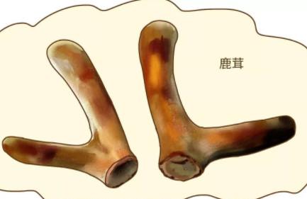 这些补品，吃过一样就证明你家很有钱，但是孕期要慎吃！