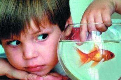 小儿多动症的推拿手法有哪些 孩子多动症小儿推拿安全有疗效