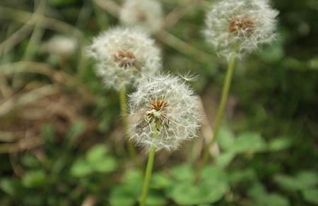 孕妇如何预防尿路感染 可从这四个方面着手