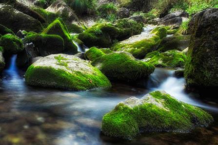 儿童消炎中成药有哪些 不是所有消炎药都是抗生素