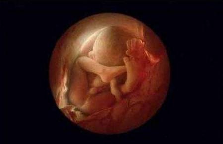 胎儿在腹中有什么能力？孕期哪些事情是要避免的？