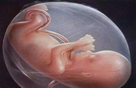 胎儿在孕妈肚子里真的会打嗝吗？胎儿打嗝有害吗？