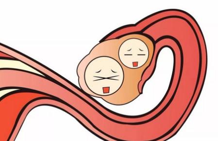 当女性排卵的时候会发出什么信号？