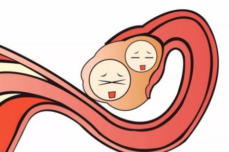 当女性排卵的时候会发出什么信号？