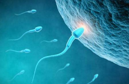 为了养好精子，男性备孕期需要克制一下！