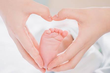 金领冠睿护和珍护有什么区别