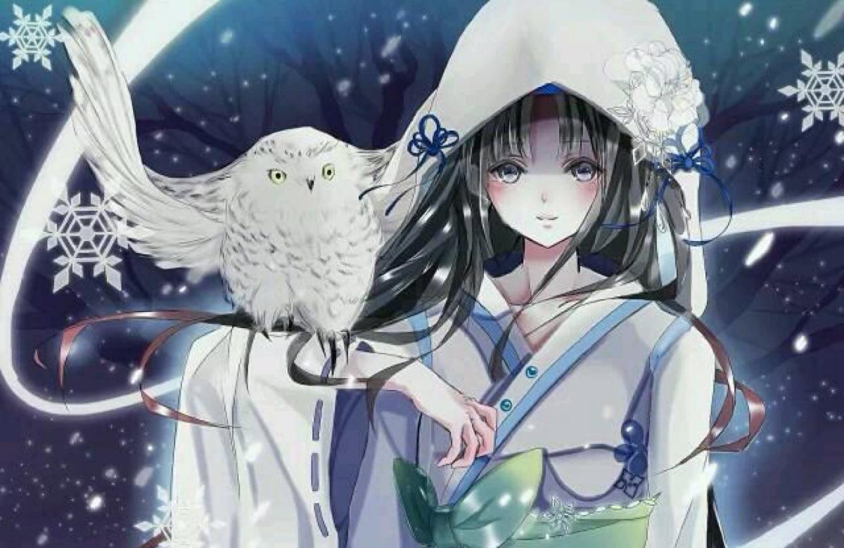 都市藏娇全文阅读