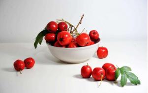 山楂怎么做给宝宝吃 酸酸甜甜促消化