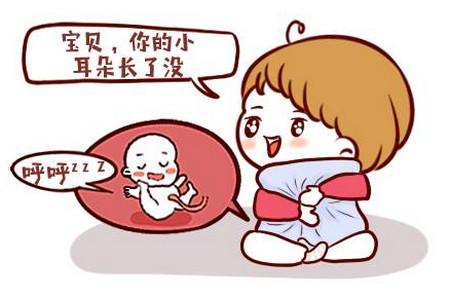 胎儿2-8的发育状况你知道是什么样的吗？