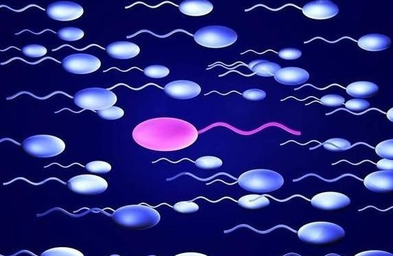 卵子在体内可以存活多久？有哪些征兆是排卵迹象？
