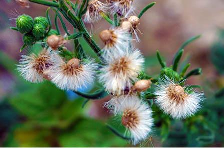 血脂高能喝全脂奶粉吗