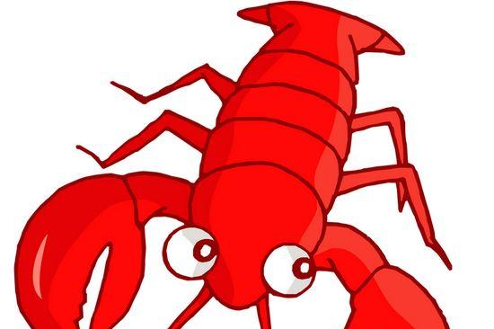 正长大的小龙虾的故事